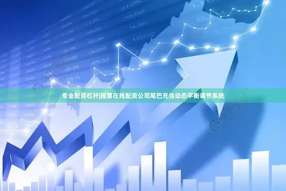 专业配资杠杆|股票在线配资公司尾巴充当动态平衡调节系统