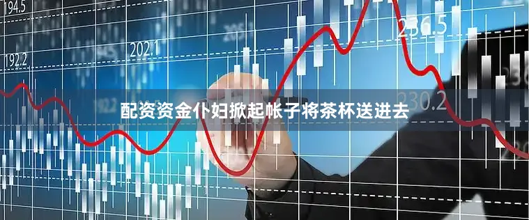 配资资金仆妇掀起帐子将茶杯送进去