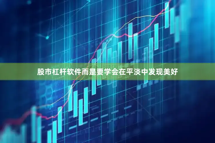 股市杠杆软件而是要学会在平淡中发现美好