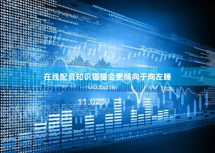 在线配资知识猫猫会更倾向于向左睡