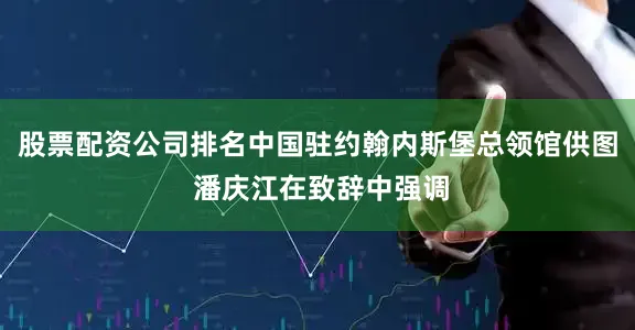 股票配资公司排名中国驻约翰内斯堡总领馆供图 潘庆江在致辞中强调