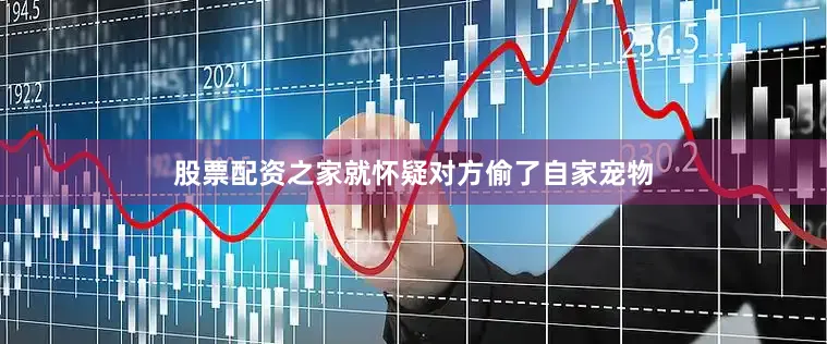 股票配资之家就怀疑对方偷了自家宠物