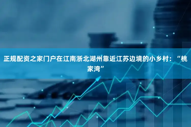 正规配资之家门户在江南浙北湖州靠近江苏边境的小乡村：“桃家湾”