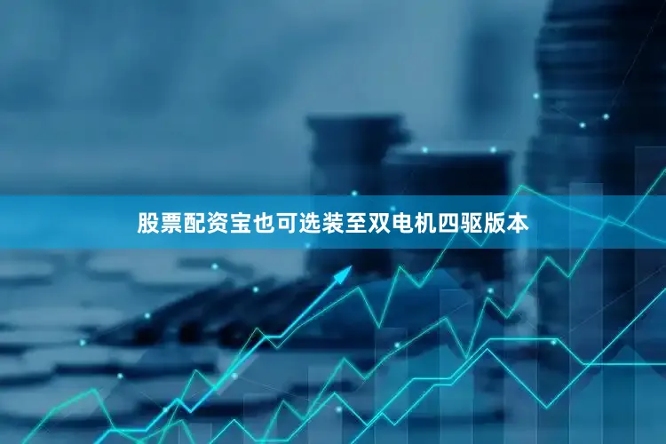 股票配资宝也可选装至双电机四驱版本