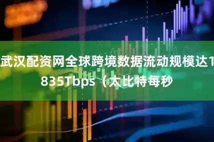 武汉配资网全球跨境数据流动规模达1835Tbps（太比特每秒