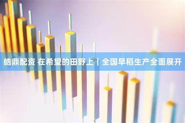 皓鼎配资 在希望的田野上｜全国早稻生产全面展开