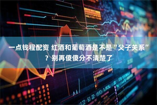 一点钱程配资 红酒和葡萄酒是不是“父子关系”？别再傻傻分不清楚了